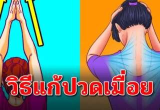 7 ท่าออกกำลังกาย ช่วยปรับแก้จุดต่างๆในร่างกาย