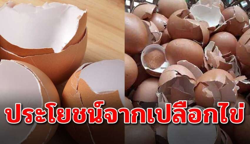 ตอกเปลือกไข่ เทใส่ในขวด แม่บ้านไม่เคยรู้มาก่อน
