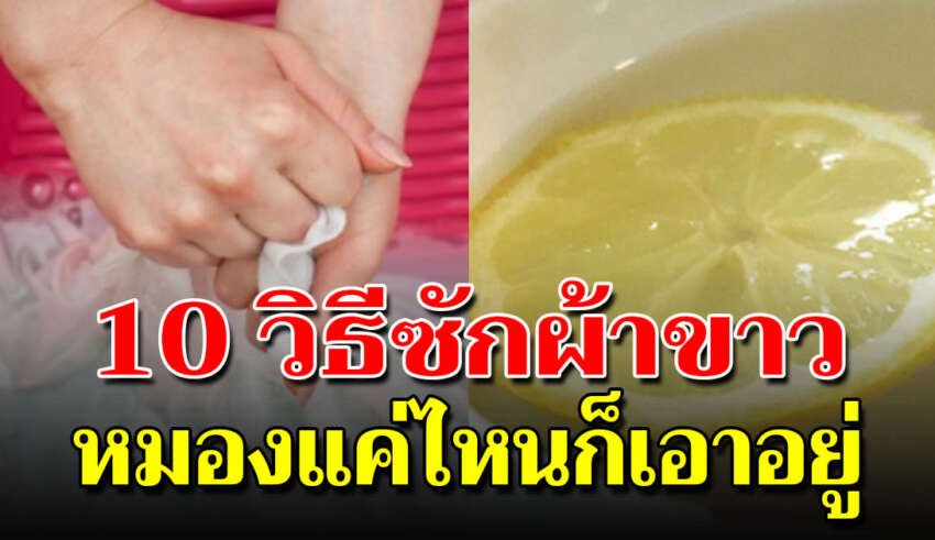 ผ้าเหลืองหมองซักด้วย 10 วิธีซักผ้าขาว ได้เหมือนตัวใหม่