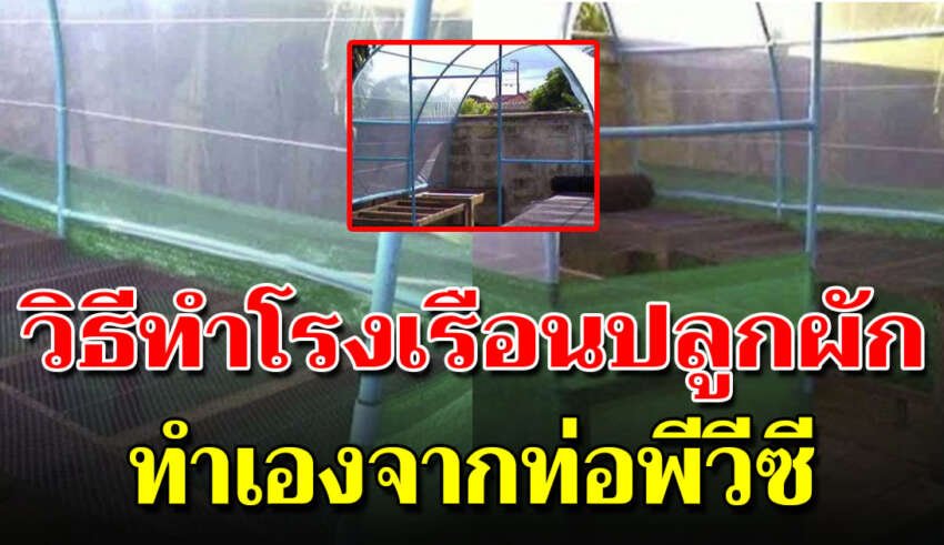 ทำโรงเรือนสำหรับปลูกผัก ใช้ท่อ PVC ด้วยงบหลักร้อย