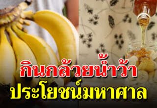 กล้วยน้ำว้า+น้ำผึ้ง เพื่อสุขภาพที่ดีของคุณเอง