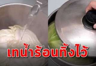 เรื่องที่ควรรู้ แค่เทน้ำร้อนทิ้งไว้ตรงกลางกะหล่ำปลี