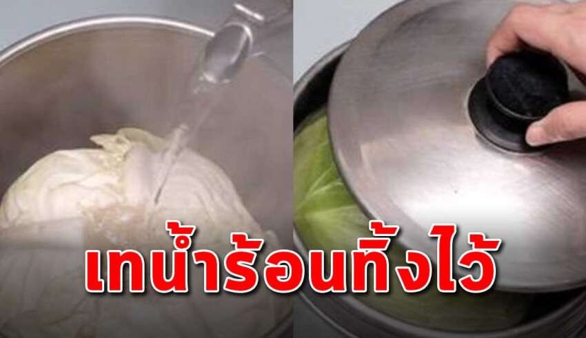 เรื่องที่ควรรู้ แค่เทน้ำร้อนทิ้งไว้ตรงกลางกะหล่ำปลี