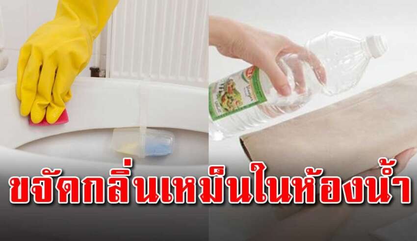 เทคนิคทำความสะอาดห้องน้ำลดกลิ่นฉุนด้วยสิ่งของภายในครัว