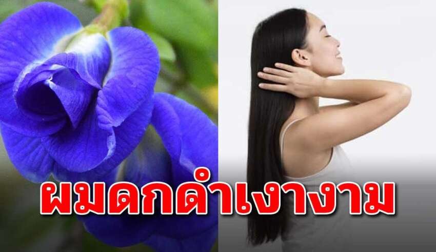 เทคนิค 5 สิ่ง ที่จะช่วยทำให้รากผมแข็งแรงดกดำ