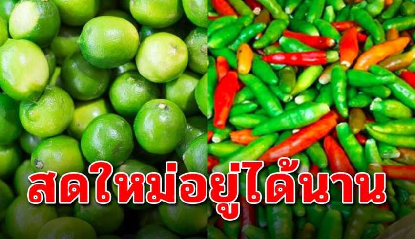 เคล็ดลับการเก็บ พริก มะนาว กระเพรา ได้นานขึ้น